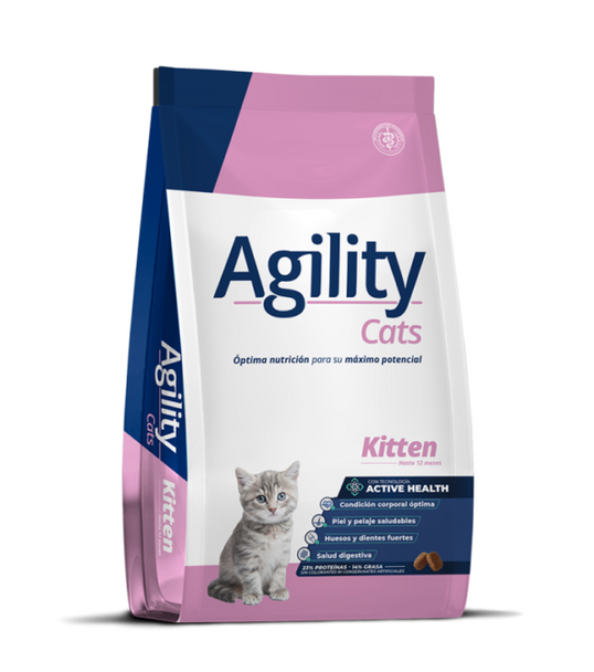 Agility Cat Kitten