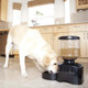 Alimentador Automático para Perros y Gatos