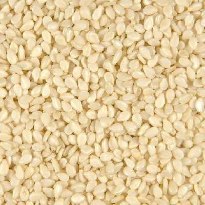 SEEDS WHITE SESAME SEEDS ( 1X5LB )