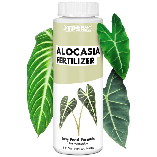 Alocasia Fertilizer, Complete Liquid Alocasia Plant Food, 8 oz (250mL)
