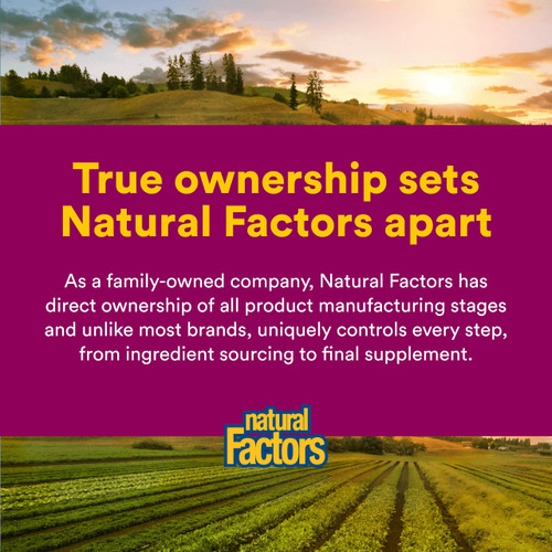 Natural Factors Oil of Oregano - Liquid Antioxidant Support Supplement for Immune Support - Easy Swallow Health Supplement with Non-GMO & Gluten-Free Formula - 2 fl oz (375 Servings)