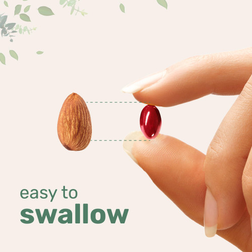 CoQ10 200mg Per Serving | 240 Softgels with Coconut MCT Oil | High Absorption Coenzyme Q10 as Ubiquinone | Antioxidant Support for Heart & Energy Health | Non-GMO