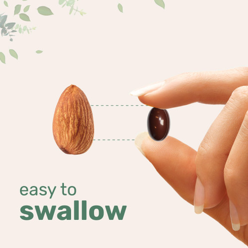 Micro Ingredients Ceylon Cinnamon | 300 Softgels with MCT Oil | Highly Bioavailable Herbal Extract | Extra Strength Cinnamon Supplements | Antioxidant & Sugar Monitor Support | Non-GMO, Gluten Free