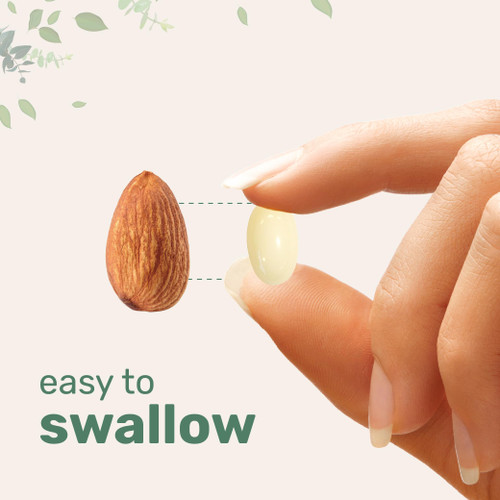 L-Theanine 200mg with Magnesium Glycinate, 400 Coconut MCT Oil Softgels | 2-in-1 Amino Acid & Mineral Complex | Gentle Care All Day & Night