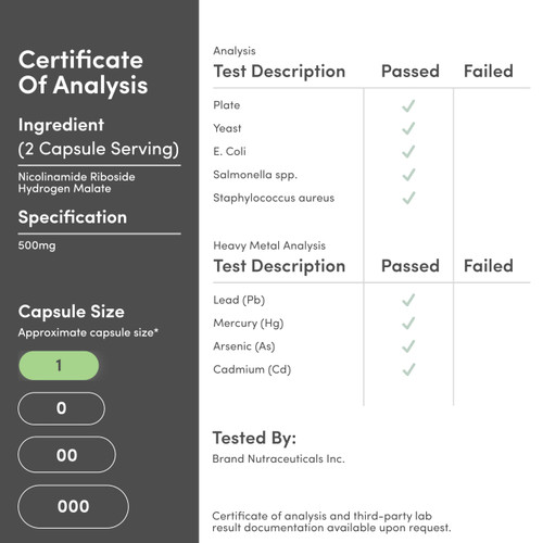 Nicotinamide Riboside - NAD Supplement to Boost Levels of NAD+ by Double Wood