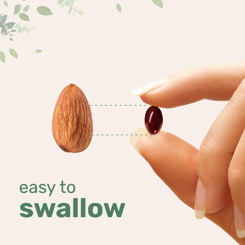 Tart Cherry+ with Magnesium Glycinate & 95% Turmeric Curcumin, 300 Softgels | Highly Bioavailable with Black Seed Oil Carrier | Extra Strength Tart Cherry Extract | Natural Herbal & Mineral Complex