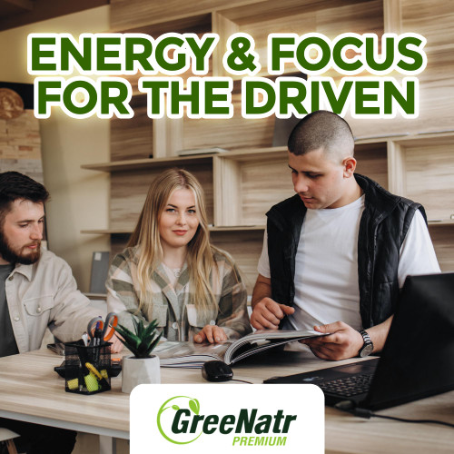 GreeNatr Ginko Biloba & Panax Ginseng Supplement - Red Ginseng Brain Supplement for Memory and Focus - Ginkgo Biloba Supplements for Good Vision, Immune System and Improved Blood Flow - 120 Tablets