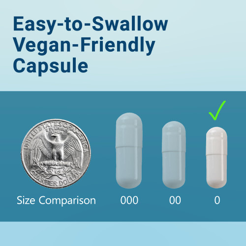 MyoActivo 5-in-1 Magnesium Complex - High Absorption - Chelated Magnesium Glycinate, Malate, Citrate, Taurate, & Aspartate for Nerves, Muscles, Bones | 120 Capsules | Magnesium Supplement