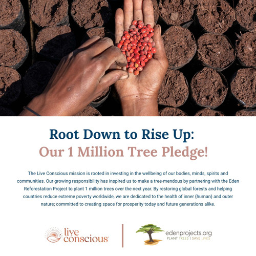 Live Conscious Beyond Greens Superfood Powder - Delicious Debloating Super Greens Powder - Matcha Greens Blend w/Chlorella, Echinacea, Probiotics for Immune Support & Energy