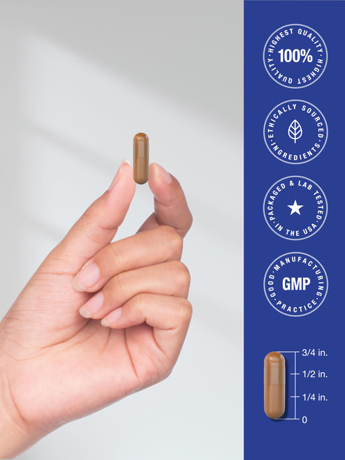 Horbäach PQQ Supplement 40 mg | 120 Capsules | Maximum Strength | Non-GMO and Gluten Free Supplement | Pyrroloquinoline Quinone Disodium Salt