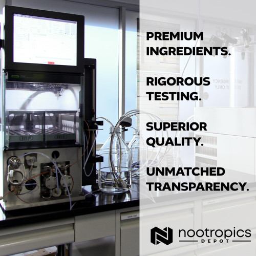 Nootropics Depot PrimaVie Shilajit Capsules | 250mg | 90 Count | Purified Extract | Ayurvedic Herb | Supports Mitochondrial Function + Boosts Endurance