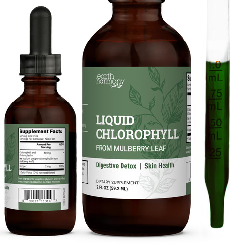 Liquid Chlorophyll, Liquid Drops for Immune System Support, Natural Internal Deodorant - Vegan Chlorophyll Drops with Organic Glycerin - Clorofila Liquida, Chlorophyllin Detox Cleanse (1 mL)