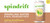 S.D SPK HALF TEA&HLF LEM ( 3 X 8 PACK )