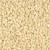 SEEDS WHITE SESAME SEEDS ( 1X5LB )