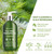 Roycederm Tea Tree Antifungal Shampoo: Folliculitis Shampoo for Dry Scalp, Dandruff, and Itchy Scalp - Medicated Clarifying shampoo with Tea Tree Oil, Paraben & Sulfate Free