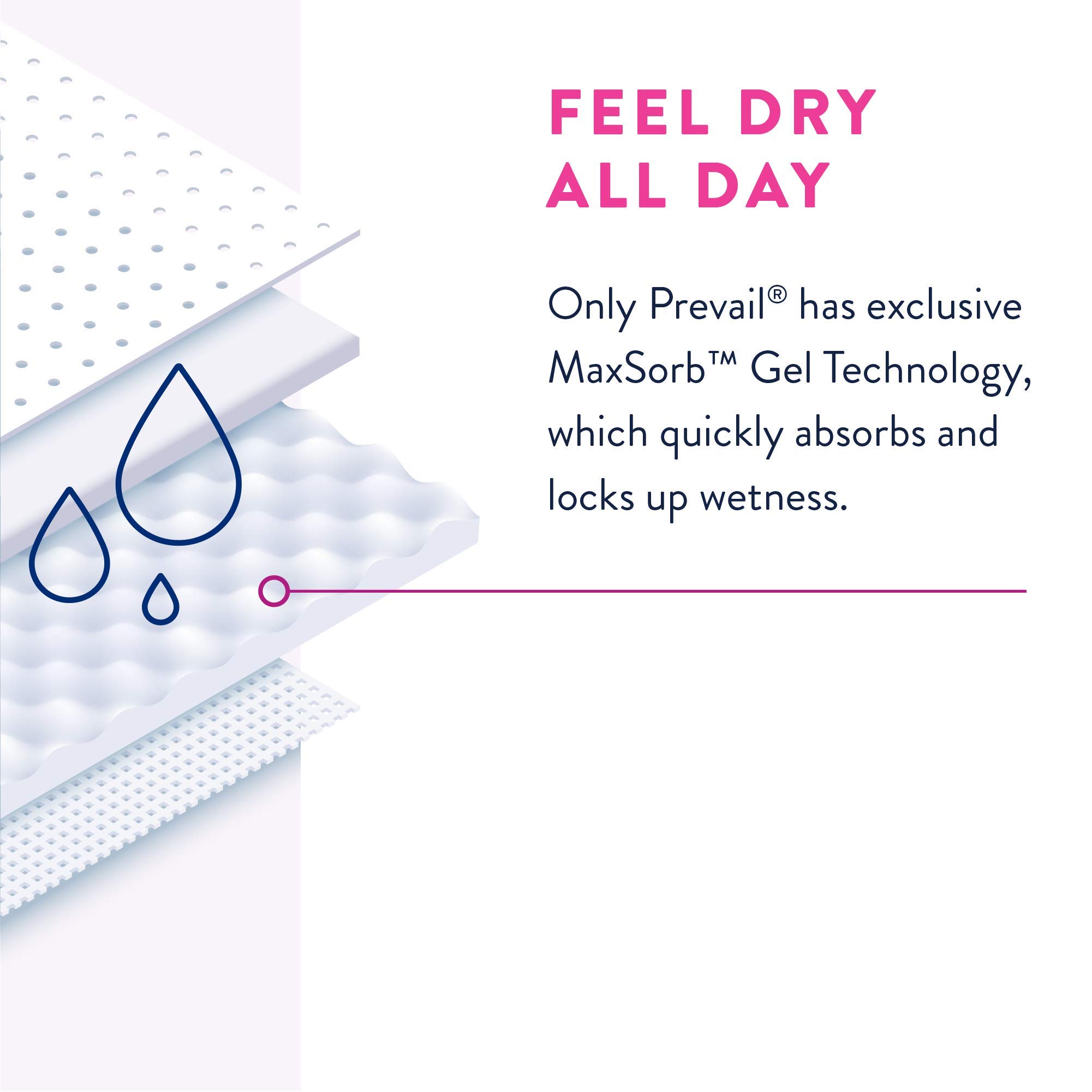 Prevail Proven | Large Pull-Up | Women's Incontinence Protective Underwear | Maximum Absorbency | 72 Count