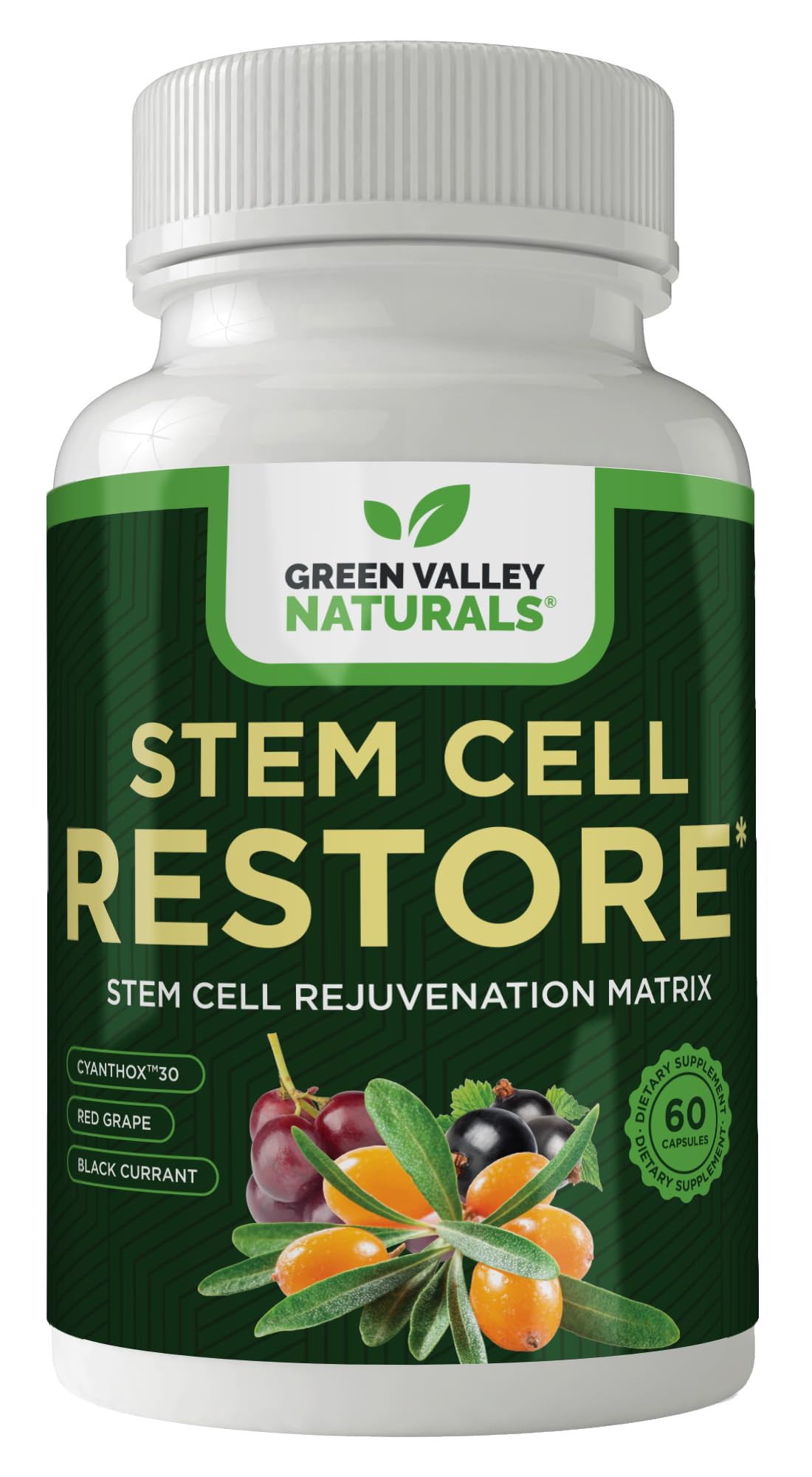 GREEN VALLEY NATURALS Stem Cell Restore | Cellular Rejuvenation Matrix with CYANTHOX™30, Black Currant, Red Grape, Resveratrol & Vitamin D Green Valley Ultra Health Support | 60 Capsules