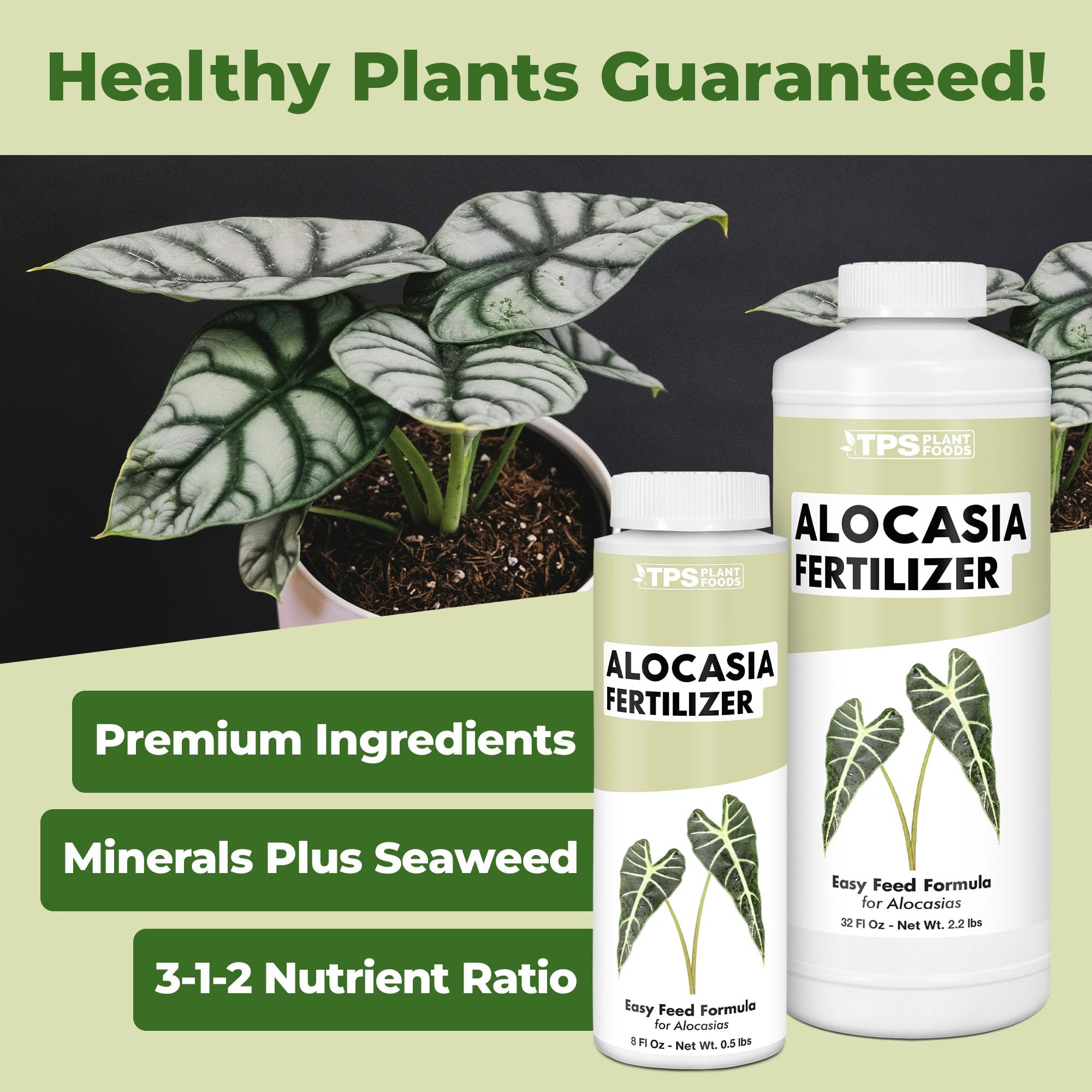 Alocasia Fertilizer, Complete Liquid Alocasia Plant Food, 8 oz (250mL)