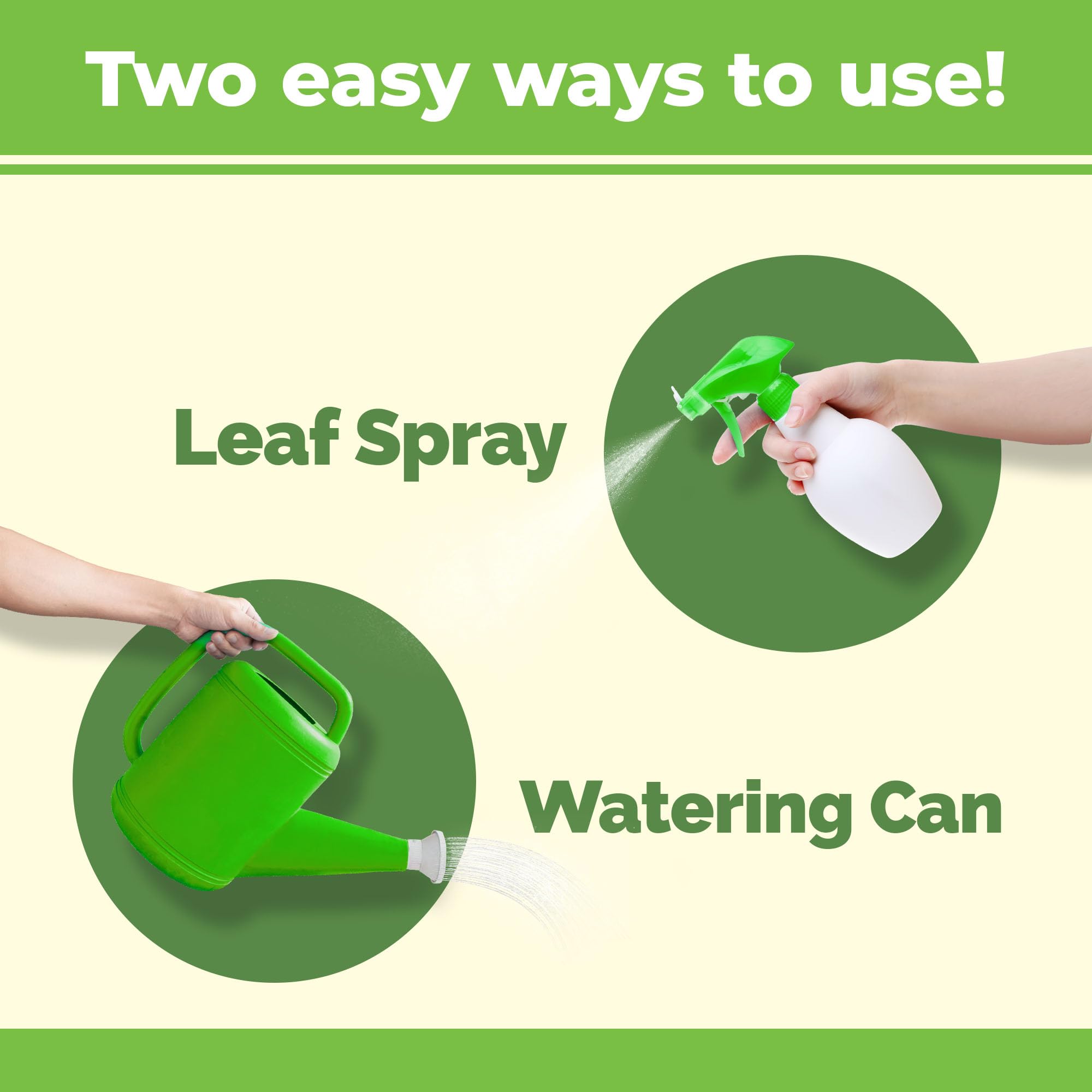 Fern Fertilizer for All Ferns and Mosses, Liquid Plant Food 8 oz (250mL)