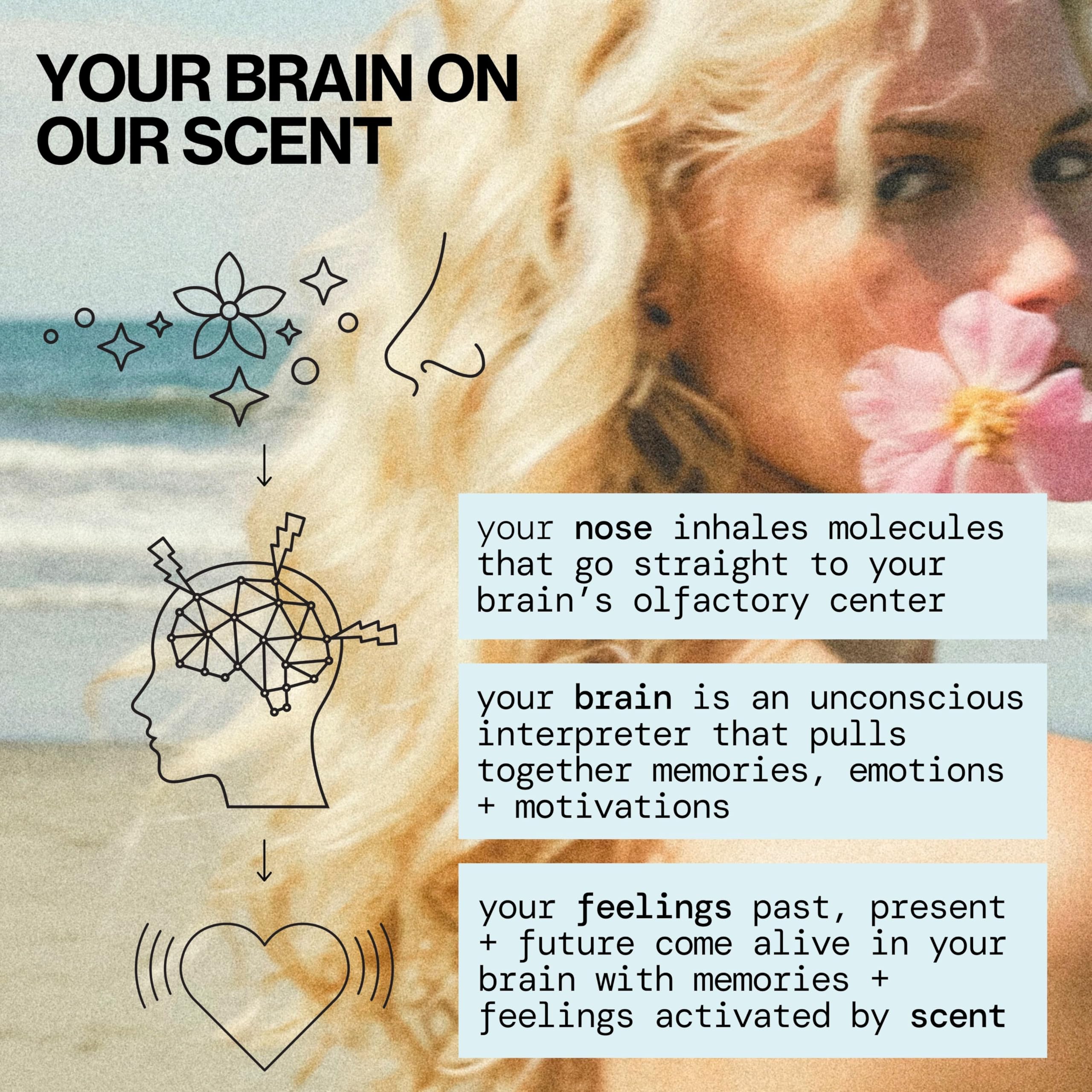 Pacifica Island Vanilla Hair Mist Perfume and Full Body Spray for Women - Fragrance Spray for A Mood-Lifting Experience, Paraben-Free, Clean Beauty No Alcohol, Vegan & Cruelty-Free, 6 oz oz