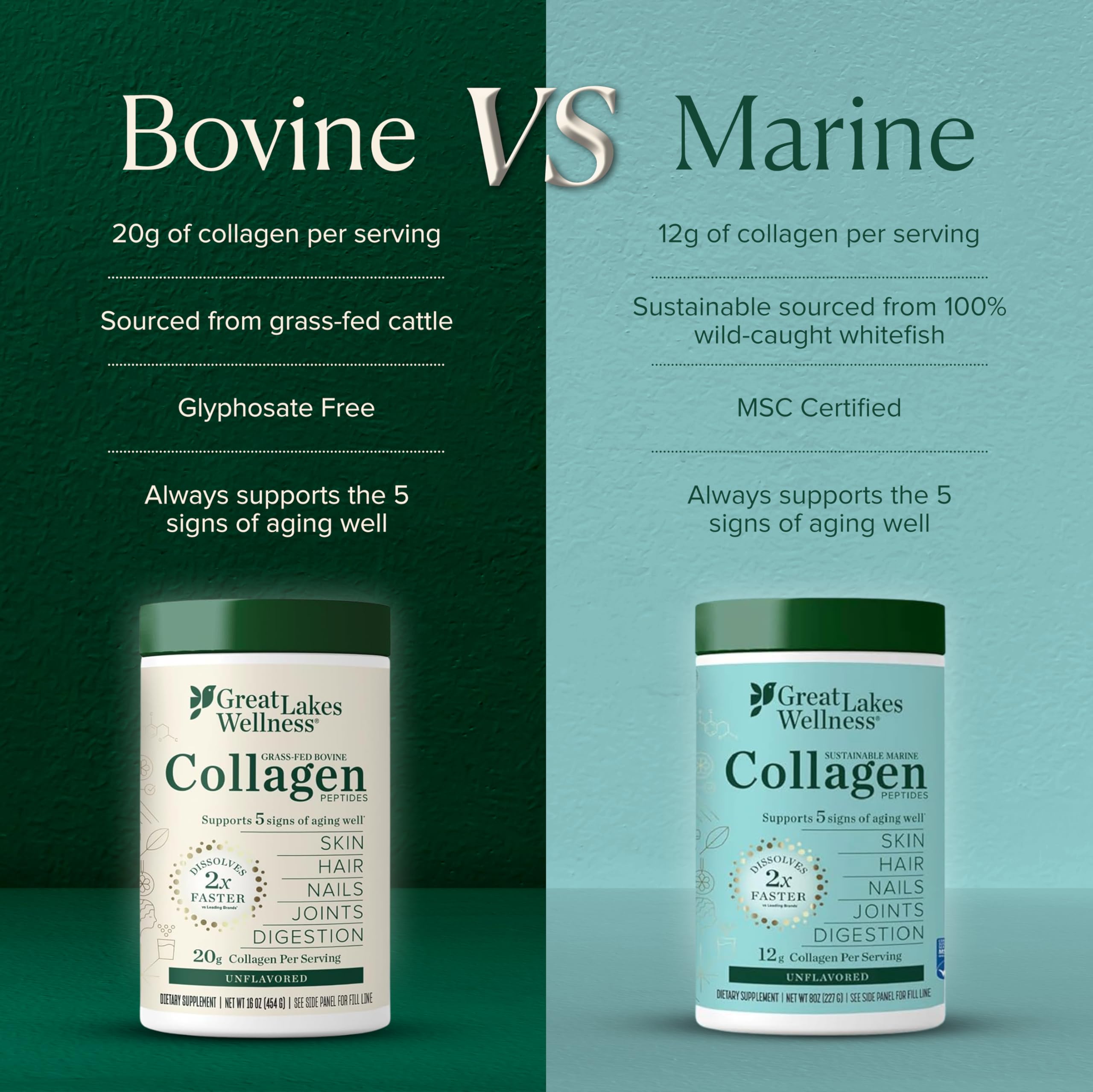 Great Lakes Wellness Collagen Peptides Powder for Skin, Hair, Nails, Joints & Digestion - Unflavored - 22 Servings (Pack of 1)