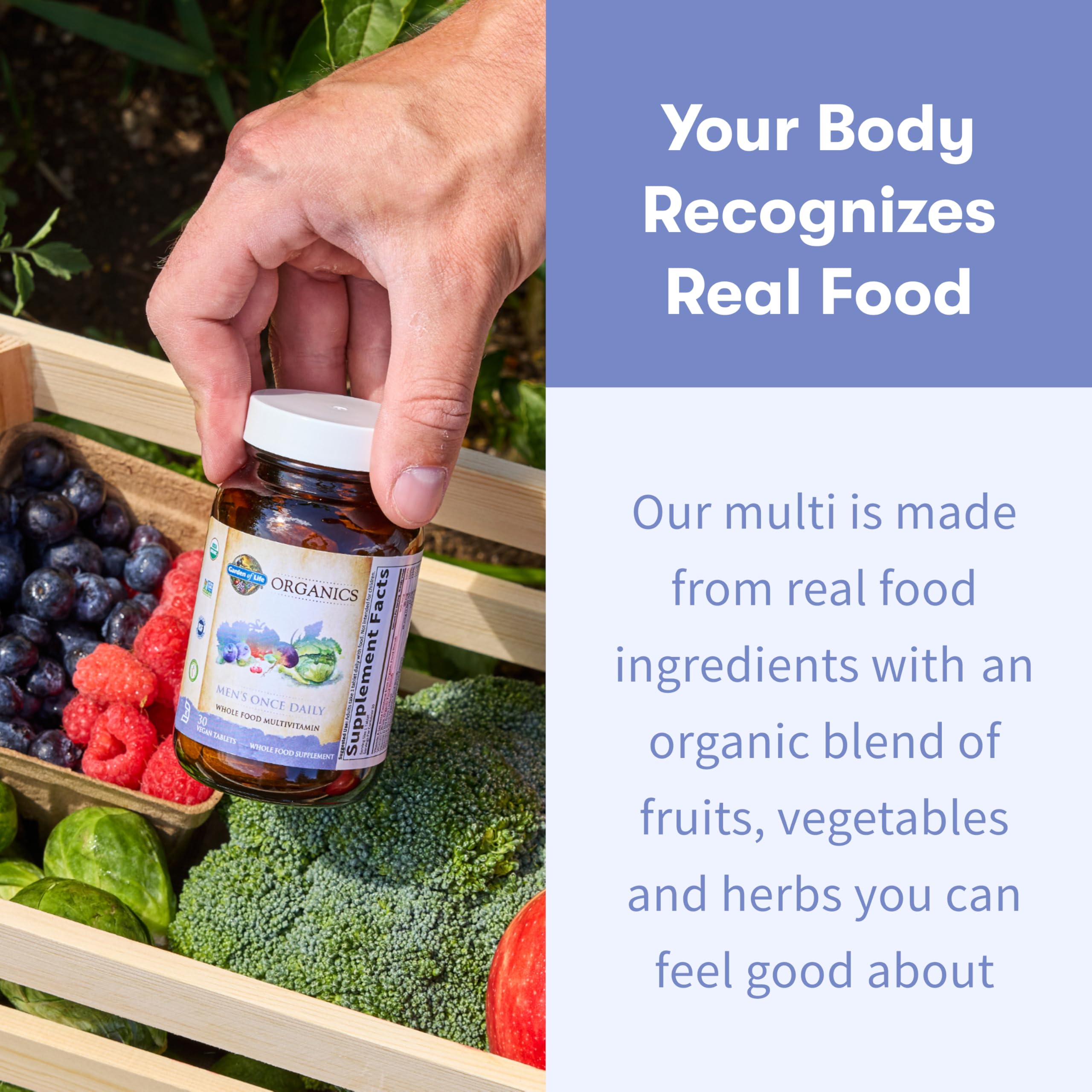 Garden of Life Once Daily Whole Food Multivitamin for Men, Organic Mens Vitamins & Minerals, Vitamin C, Zinc, Vegan, for Health & Well-Being, 60 Tablets