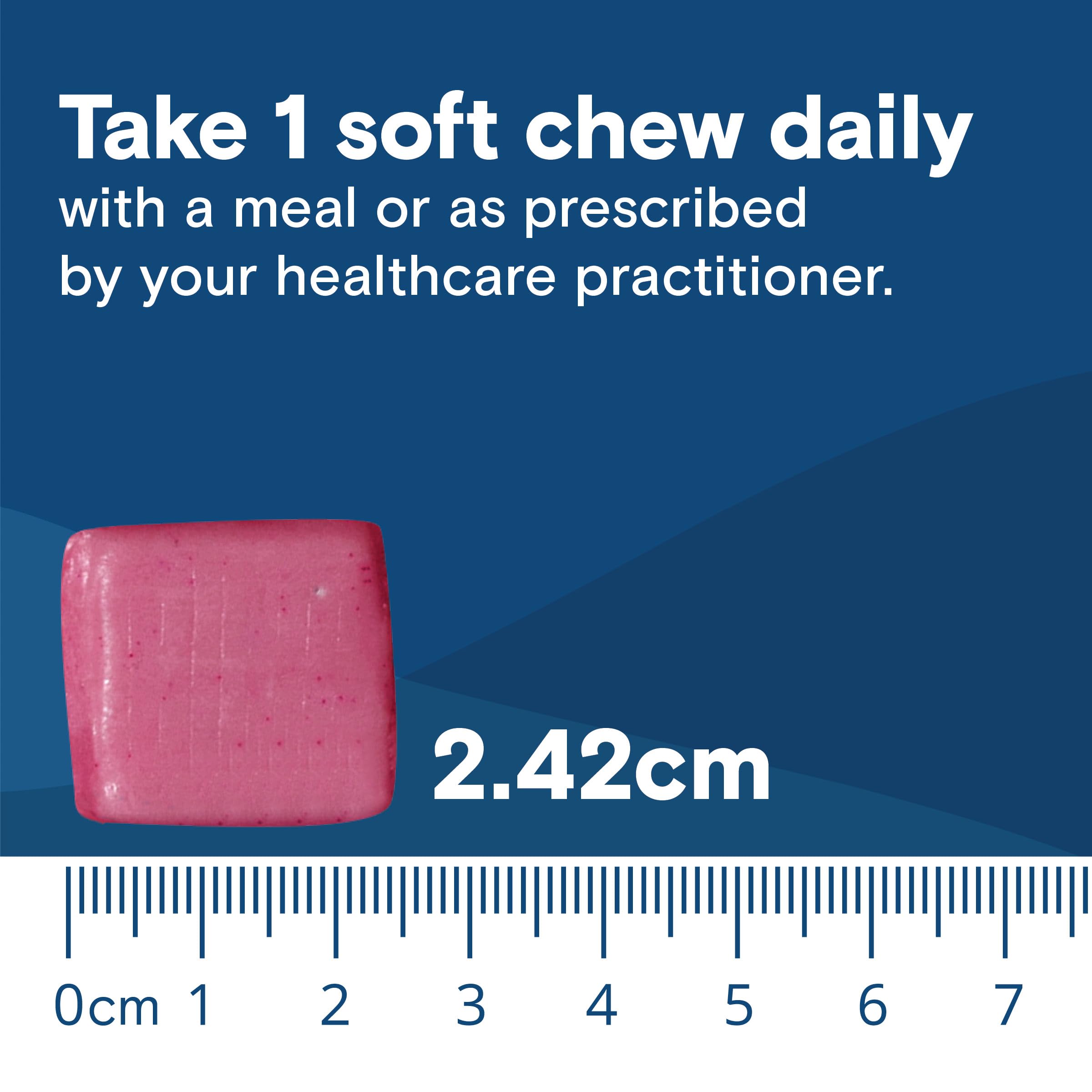 Bariatric Fusion Bariatric Calcium Supplement Chews | Calcium Citrate with Vitamin D3 Bariatric Vitamin | Sugar Free Chewable |500mg | Fruit Punch | 60 Count