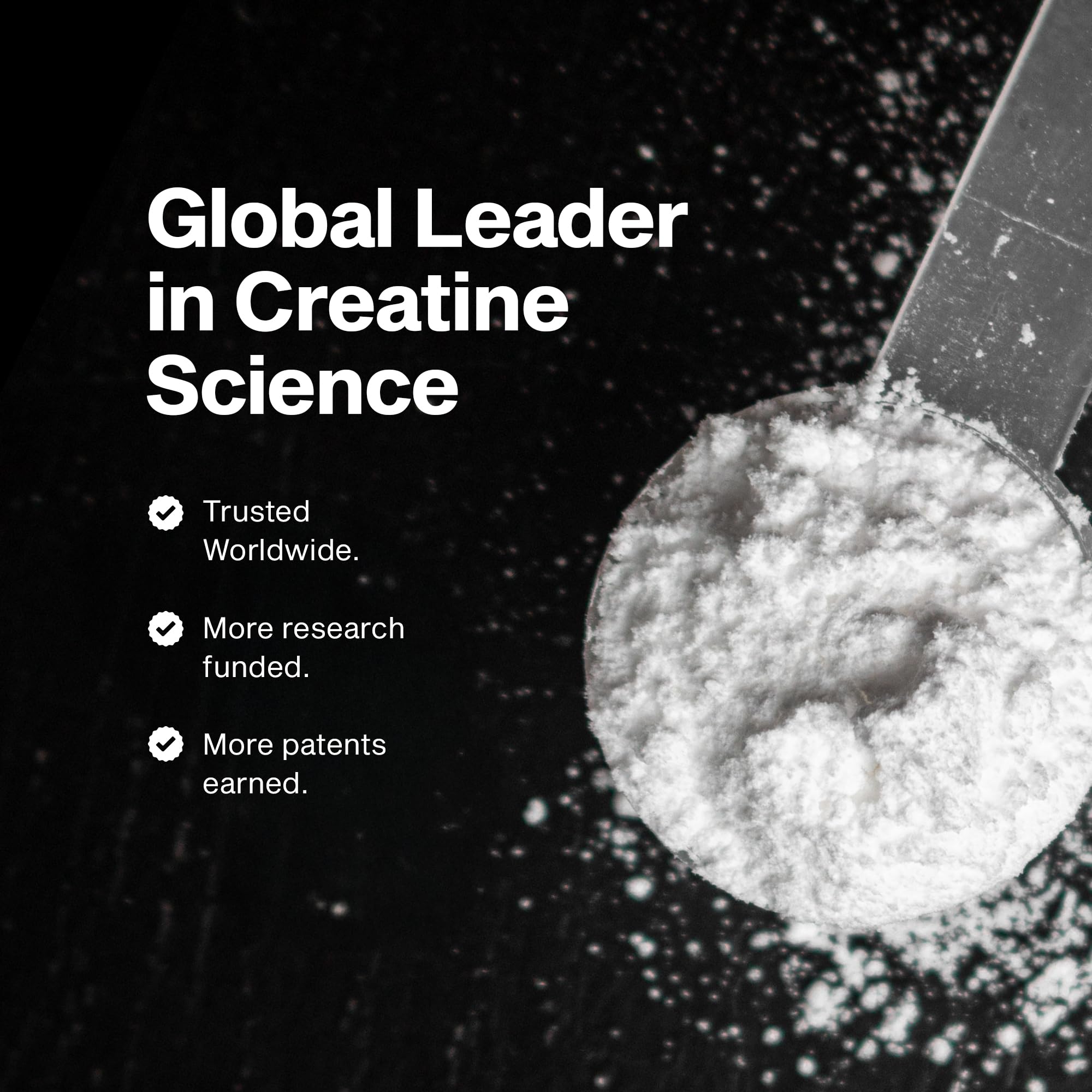 MuscleTech Creatine Monohydrate Powder, Platinum Pure - Unflavored Micronized Creatine for Men & Women - Workout Supplements for Performance, Muscle Recovery & Builder-(80 Servings) Packaging May Vary