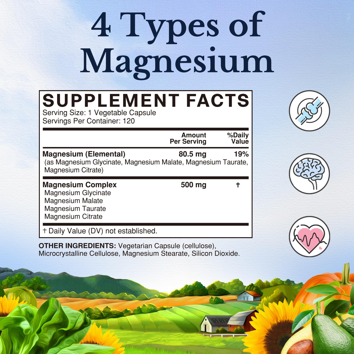 Vitalitown Magnesium Complex Supplement 500mg - NSF Certified Magnesium Glycinate, Malate, Taurate & Citrate - Chelated High Absorption & Gentle on Stomach - Vegan Non-GMO 2 Packs 240 Capsules