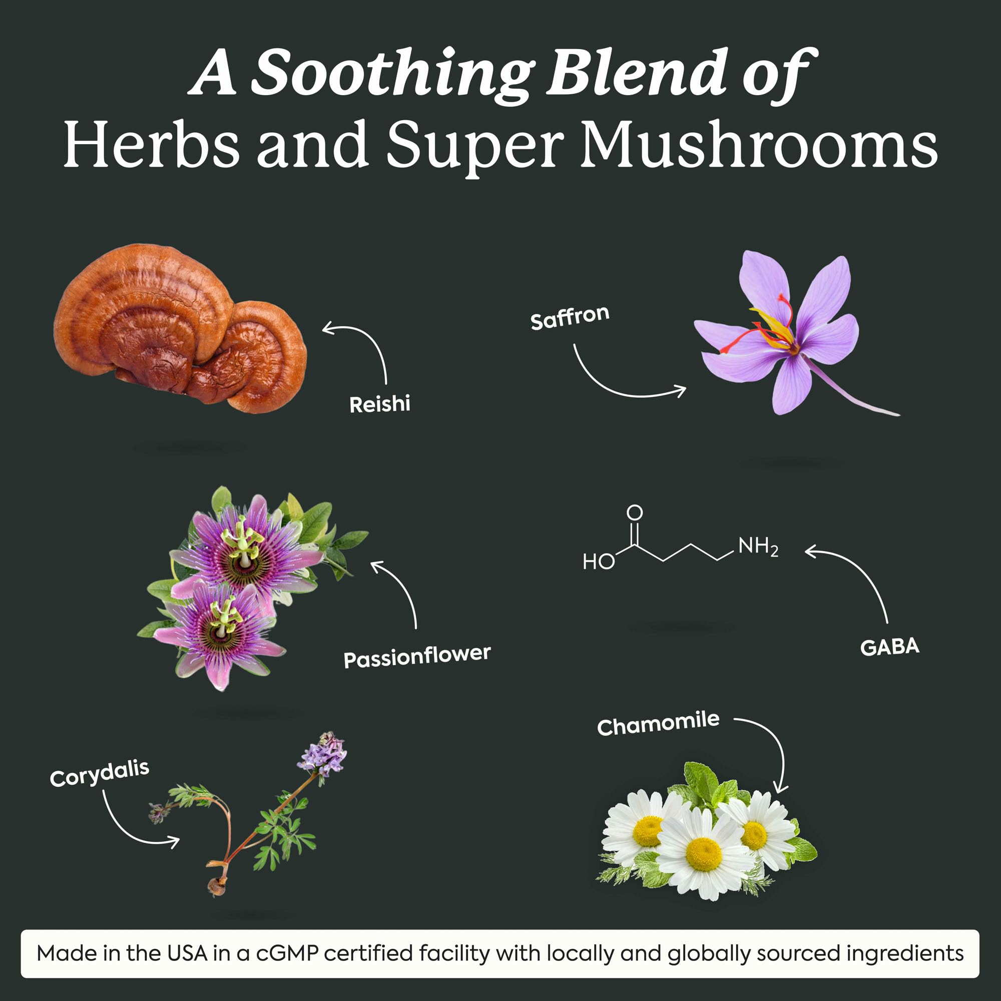 Plant People WonderSleep Mushroom Gummies Supplement for Sleep, No Melatonin with Reishi Super Mushrooms, Wild Elderberry Flavor, No Sugar (60 Count)