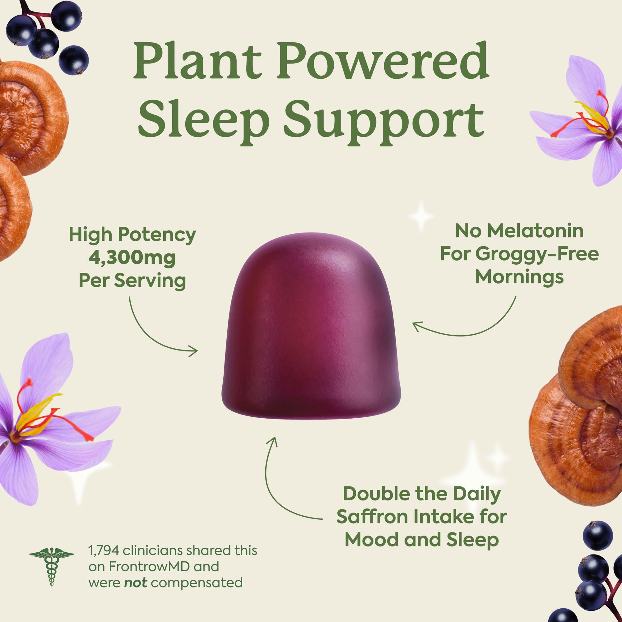 Plant People WonderSleep Mushroom Gummies Supplement for Sleep, No Melatonin with Reishi Super Mushrooms, Wild Elderberry Flavor, No Sugar (60 Count)