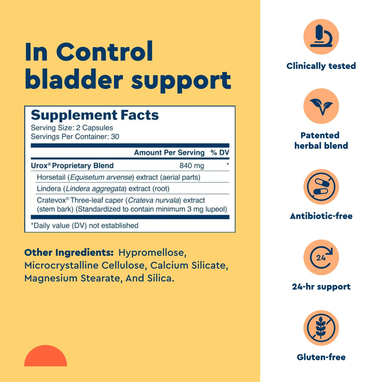 Uqora in Control Bladder Support - Daily Bladder Care & Support for Urinary Comfort - Made with botanicals, Like Horsetail & Spicebush - Gluten-Free & Vegetarian - 120 Capsules (2 Pack)