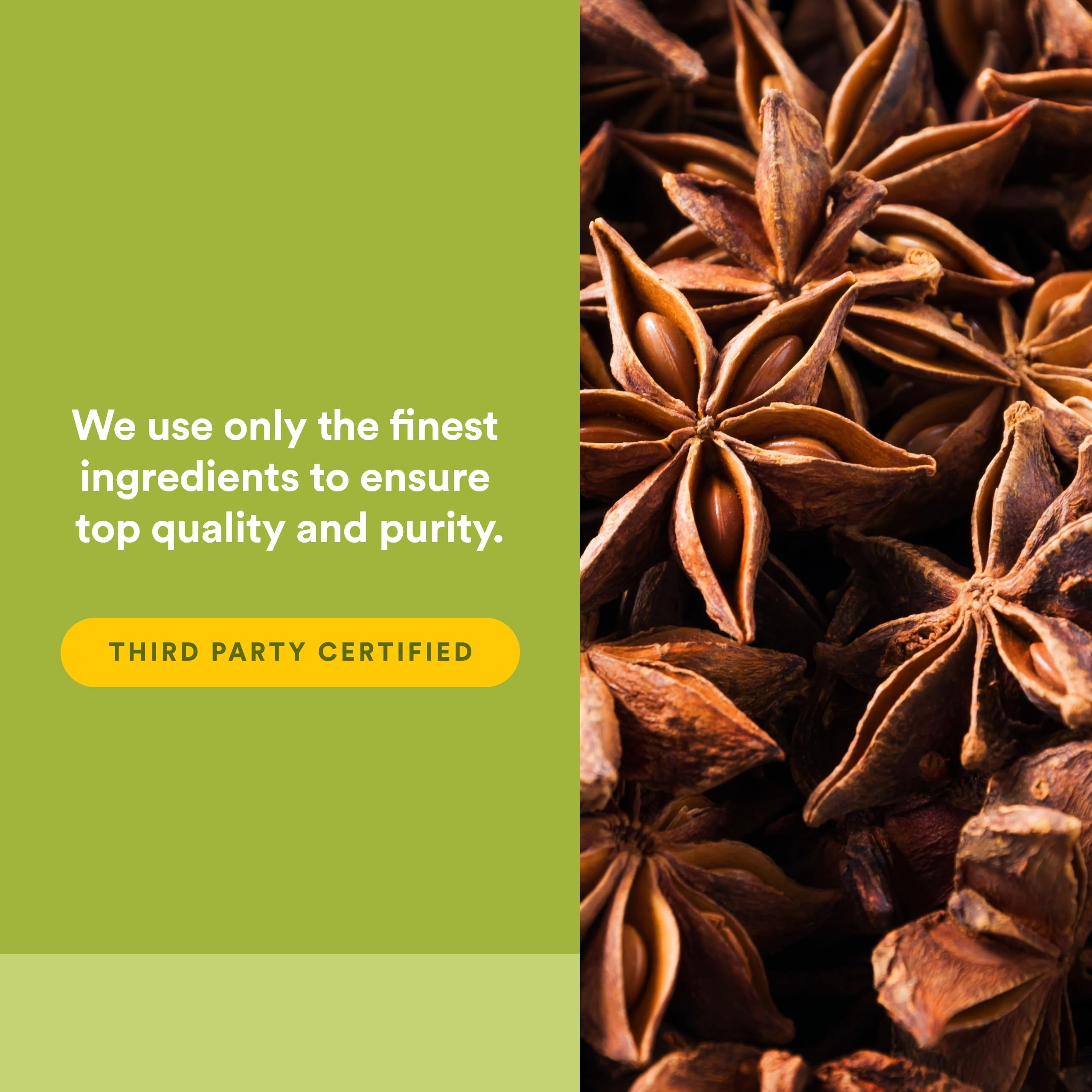 Natural Factors DGL Chewable - Digestive Support Supplement with Licorice Root Extract - Chewable Tablets Support Stomach Lining & Health - Non-GMO & Gluten-Free - 180 Chewable Tablets (180 Servings)