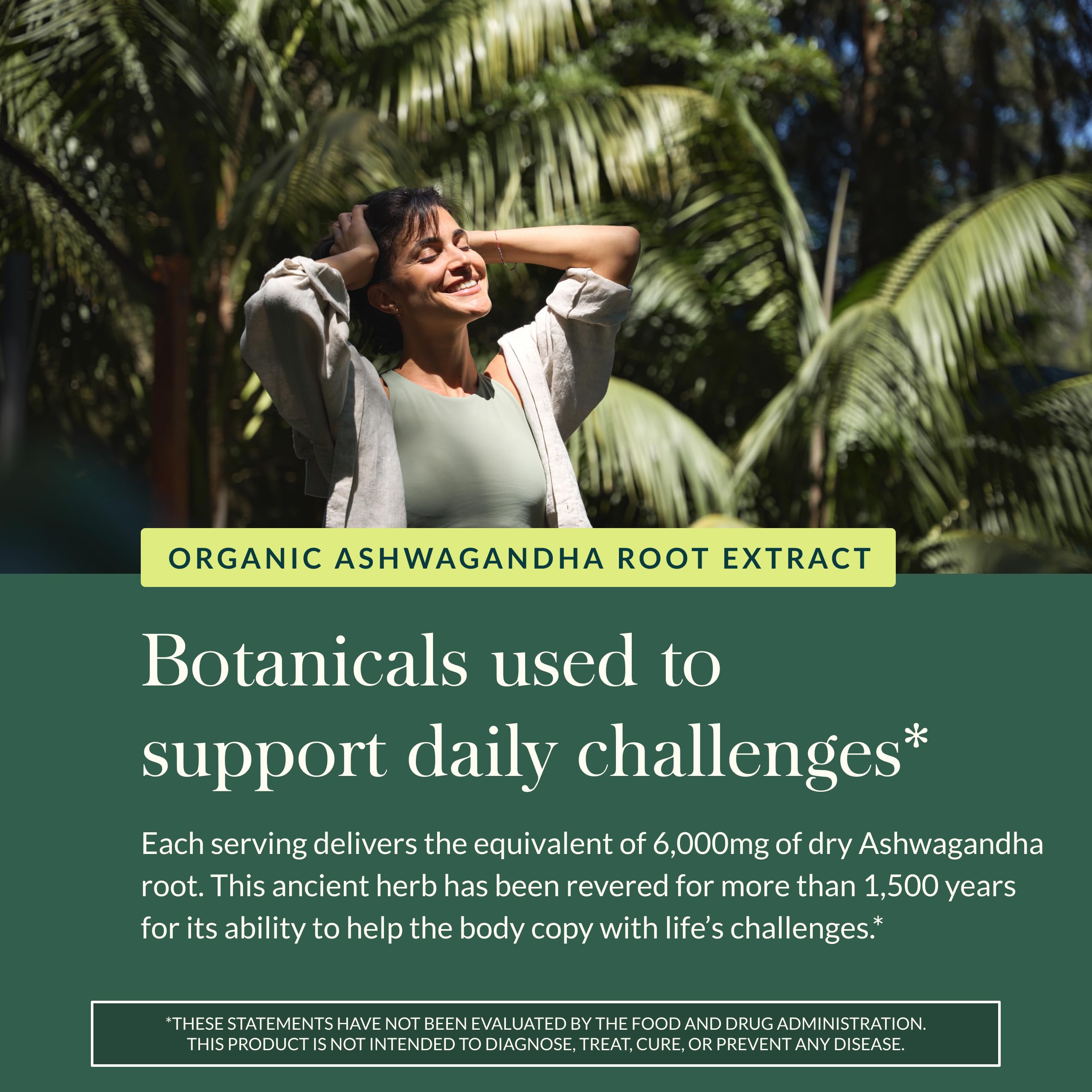 Gaia Herbs Ashwagandha Root - Stress Relief & Sleep Support Supplement - Supports Balanced Energy Levels & Positive Outlook* - 180 Vegan Liquid Phyto-Caps (90 Servings)