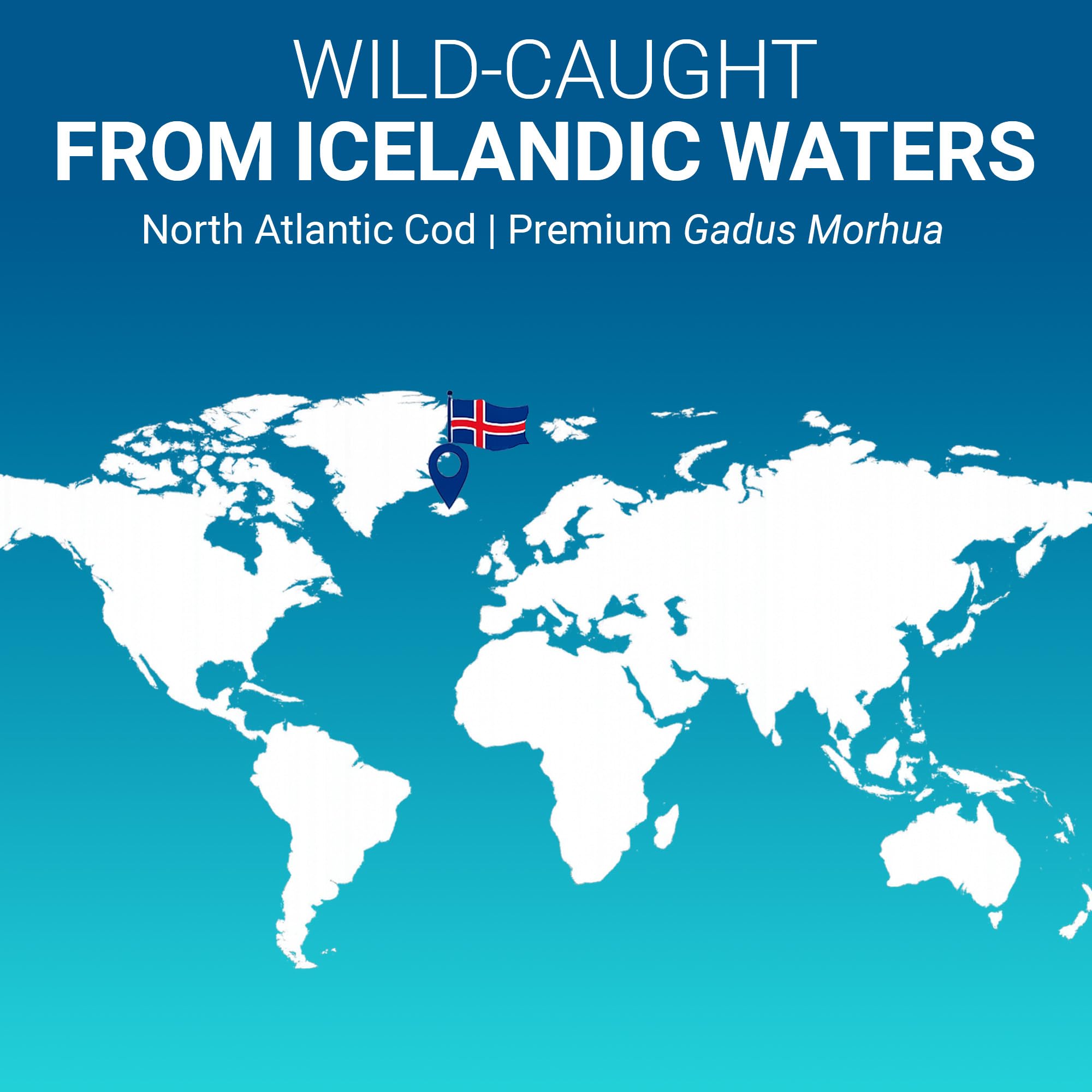 Dr. Berg Omega-3 Cod Liver Fish Oil 60 Softgels – Wild-Caught Icelandic Cod – Omega 3 EPA & DHA – Heart, Brain, Immune & Eye Support* – Lemon Flavor – 4X Lab-Tested – Non-GMO, No Fillers