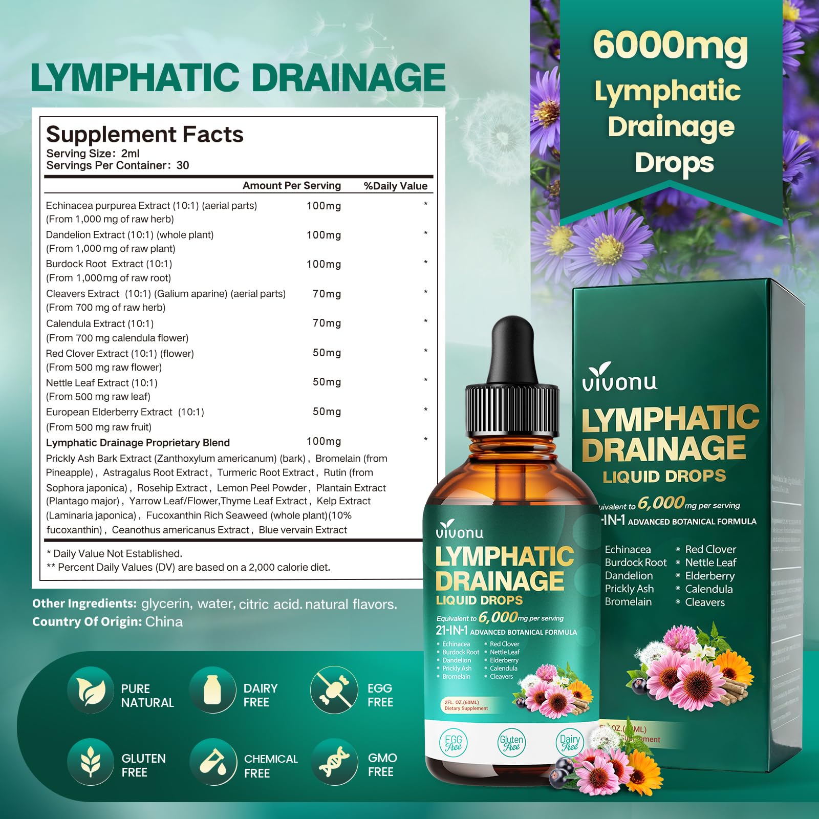 21-in-1 Lymphatic Drainage Drops for Liposomal, 6000mg Immune & Lymph System Support Supplement for Women & Men with Echinacea, Dandelion, Burdock, Bromelain, Calendula, Turmeric & More, 2 Pack