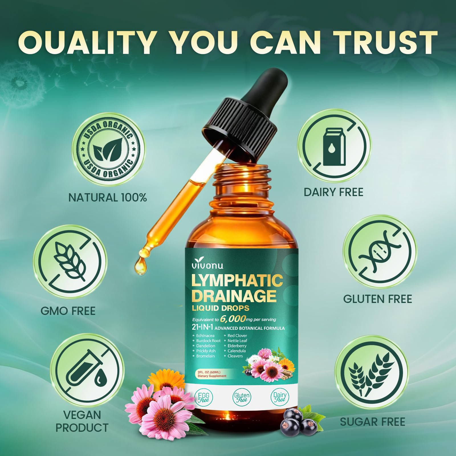 21-in-1 Lymphatic Drainage Drops for Liposomal, 6000mg Immune & Lymph System Support Supplement for Women & Men with Echinacea, Dandelion, Burdock, Bromelain, Calendula, Turmeric & More, 2 Pack