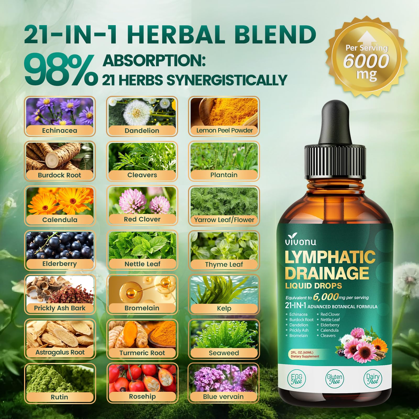 21-in-1 Lymphatic Drainage Drops for Liposomal, 6000mg Immune & Lymph System Support Supplement for Women & Men with Echinacea, Dandelion, Burdock, Bromelain, Calendula, Turmeric & More, 2 Pack