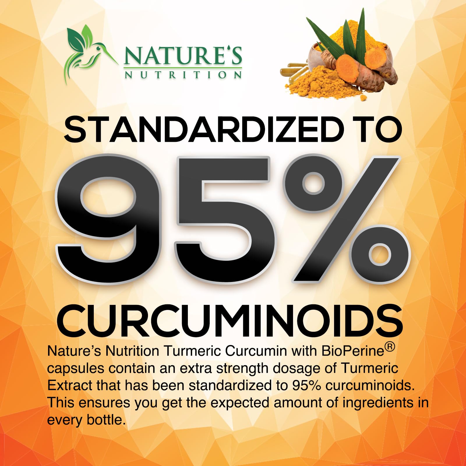 Turmeric Curcumin Supplement 2600mg - 95% Curcuminoids with Organic Turmeric & BioPerine Black Pepper Extract for Best Absorption, Natural Vegan Joint Support, Non-GMO, Bottled in USA - 180 Capsules