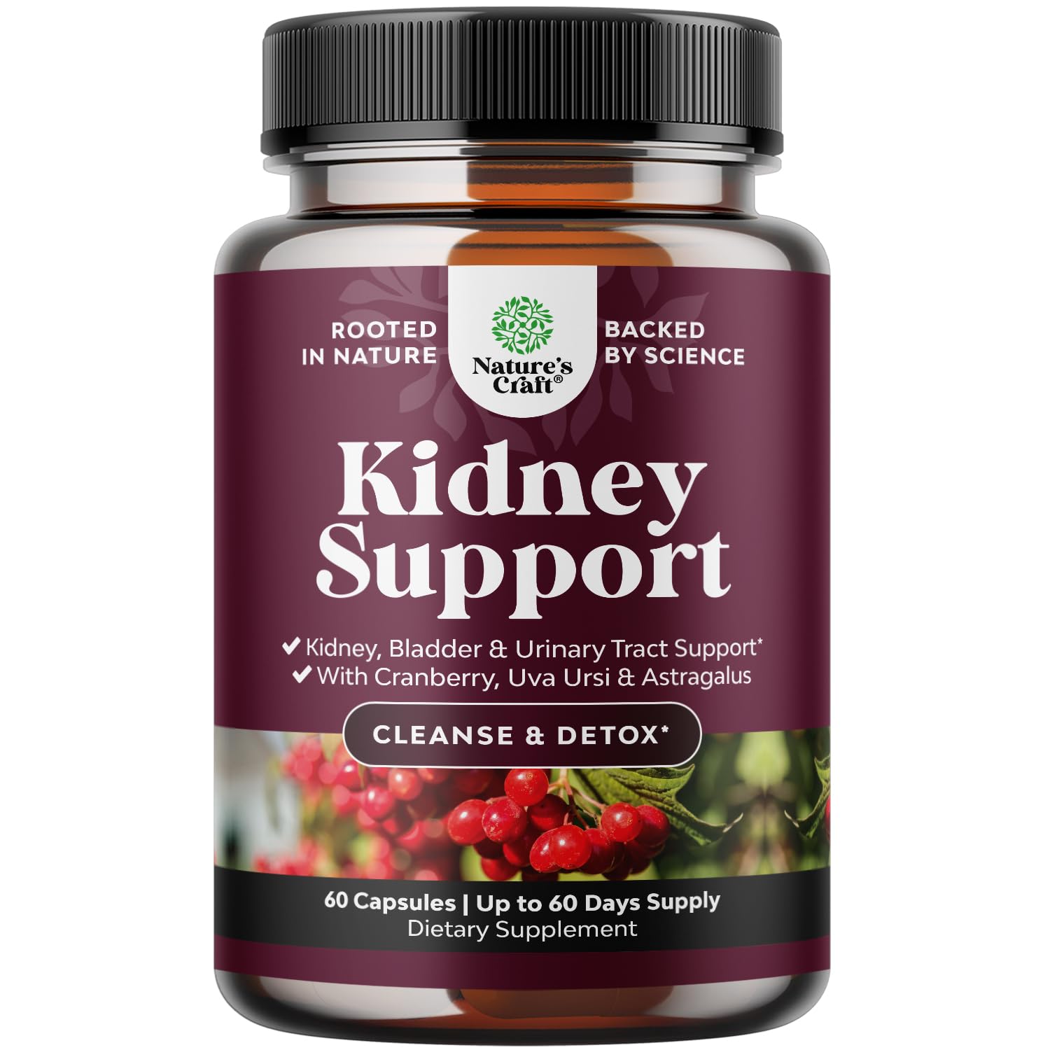 Advanced Kidney Support Supplement - Kidney Cleanse Detox & Repair Cranberry Extract Capsules with Uva Ursi, Stinging Nettle & Astragalus for Kidney Health - Urinary Tract Health - 60 Count