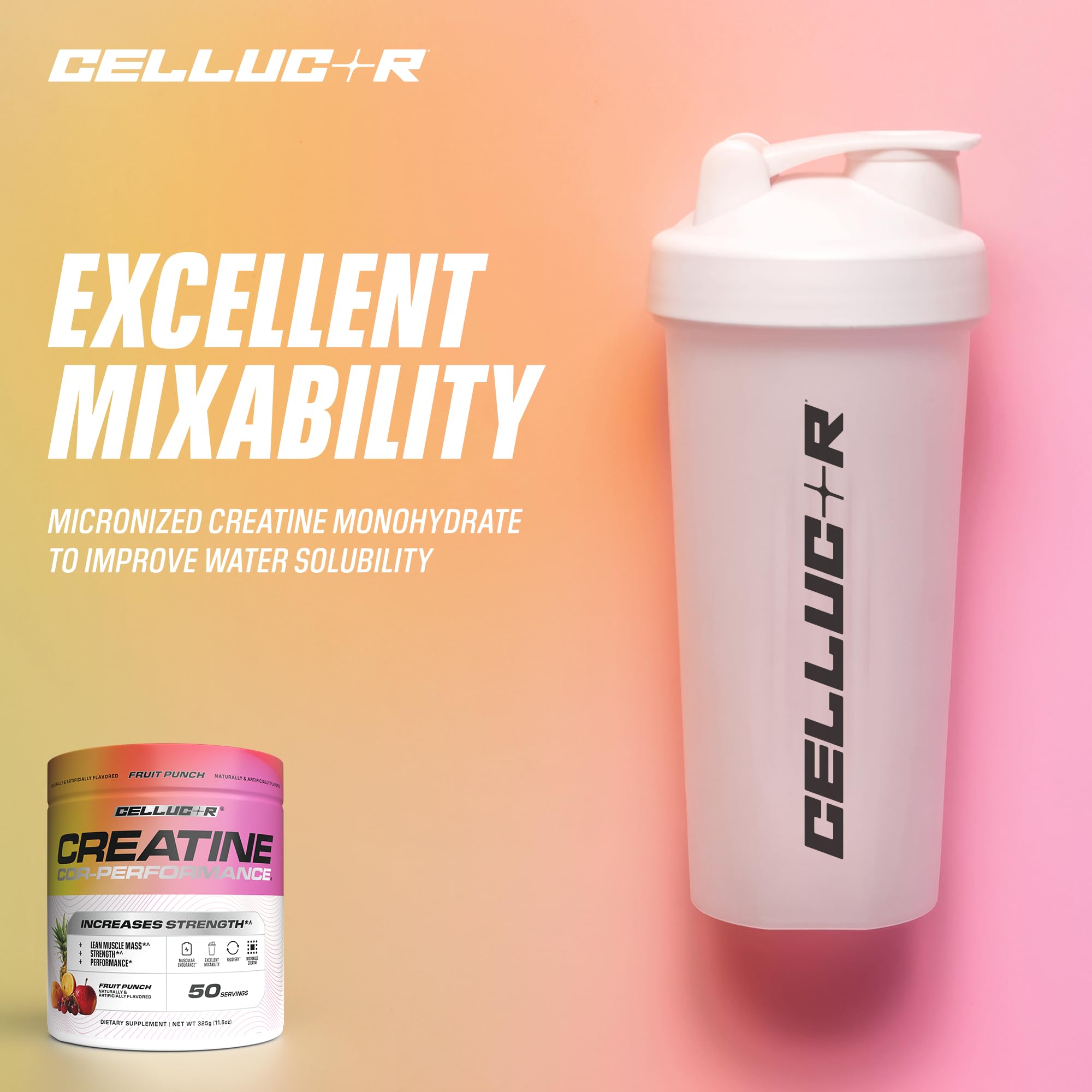 Cellucor Creatine Powder, Fruit Punch Flavor - Increases Strength, Lean Muscle Mass & Endurance, Micronized Creatine for Fast Absorption, 5g Creatine per Serving, 50 Servings