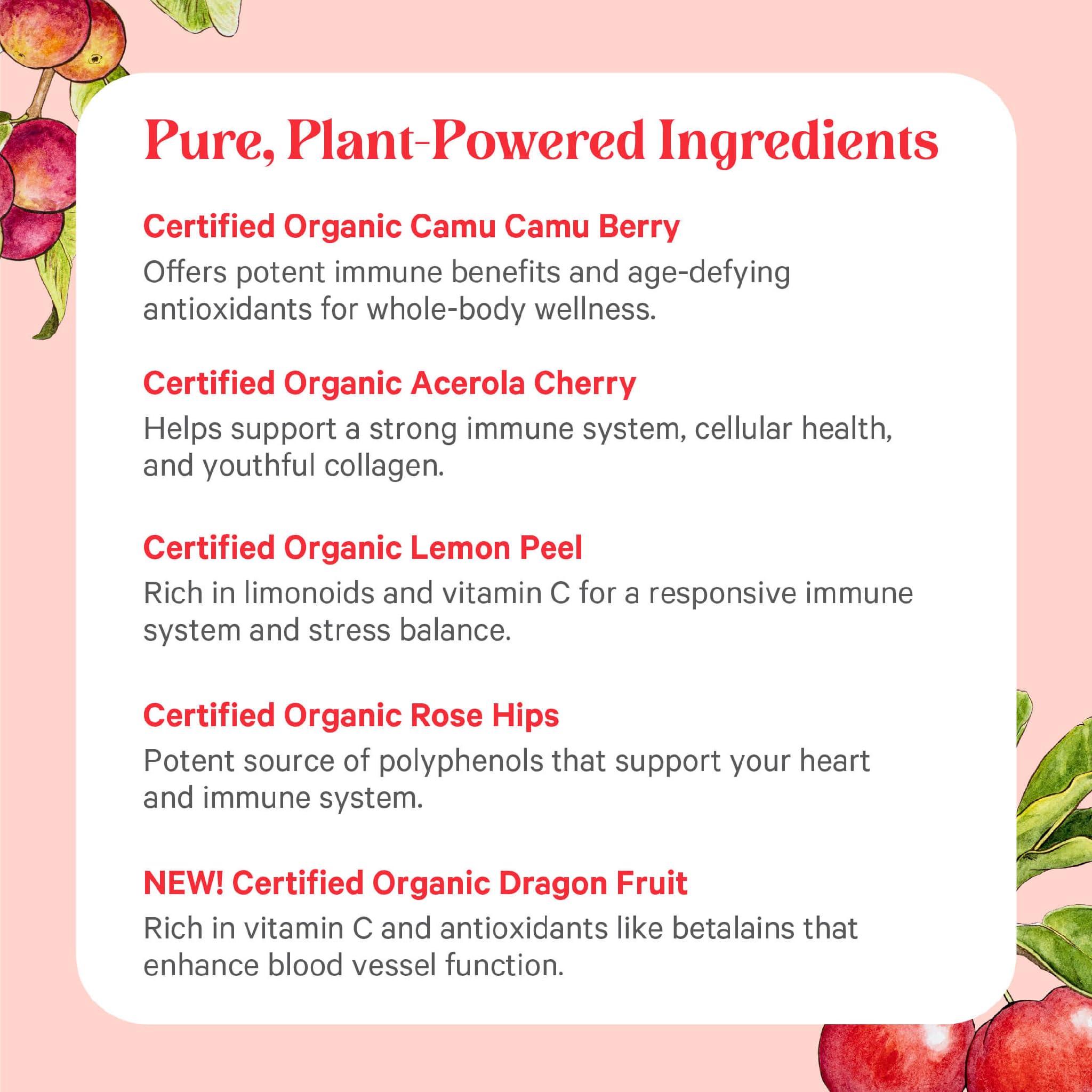 PURE SYNERGY Pure Radiance C | Organic Vitamin C Capsules | 100% Natural, Whole Food, Non-GMO Supplement with Organic Camu Camu | for Immune and Collagen Support (90 Capsules)