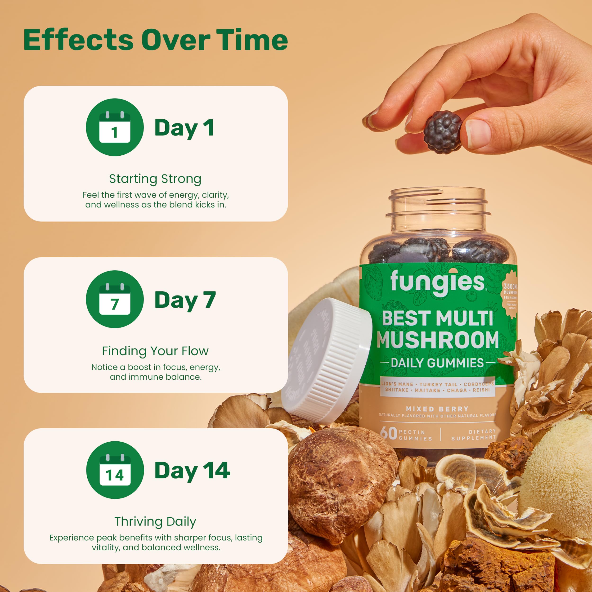 Fungies Multi Mushroom Gummies for Men & Women - Mushroom Supplement Includes Lion’s Mane, Cordyceps, Reishi, Chaga, Shiitake, Maitake & Turkey Tail - Gelatin-Free, Gluten-Free & Vegan Gummy Vitamins