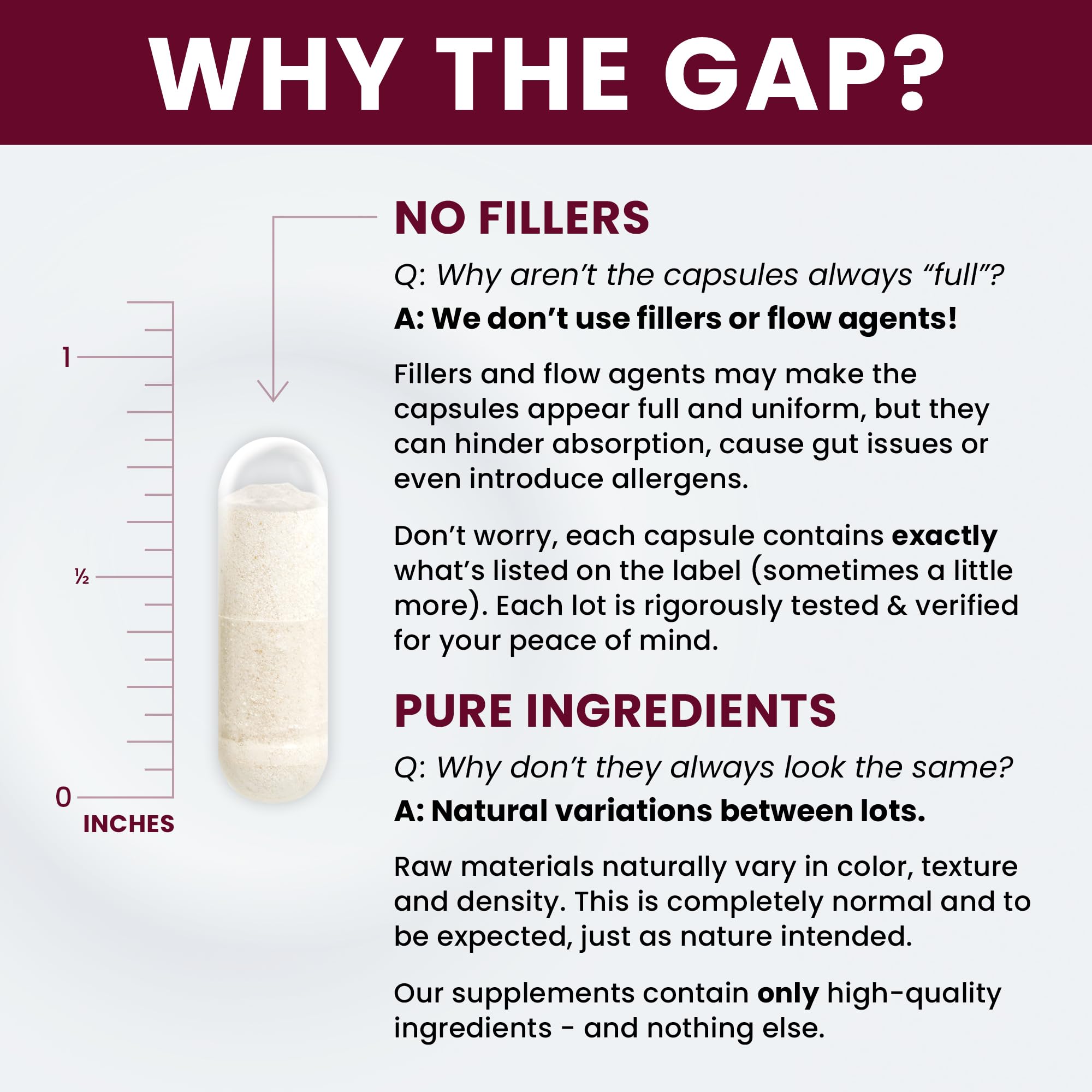 Saccharomyces Boulardii Probiotics 10 Billion CFU - Made in USA | No Fillers, Patented Strain: Lynside CNCM I-3799 Probiotics for Men and Women | Pure TheraPro Rx - 60 Capsules