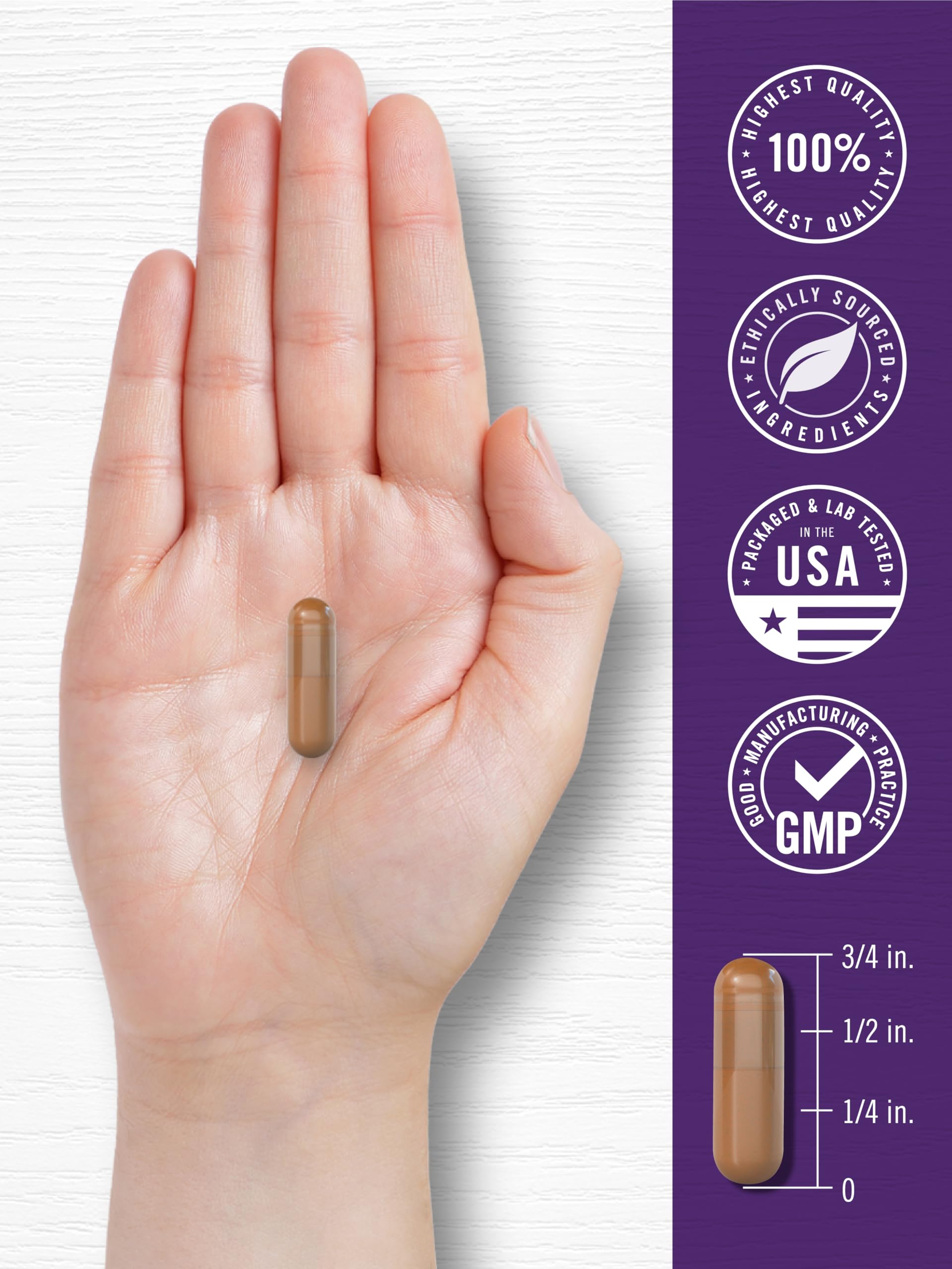 Carlyle Resveratrol Supplement | 180 Capsules | Non-GMO & Gluten Free | Potent Complex