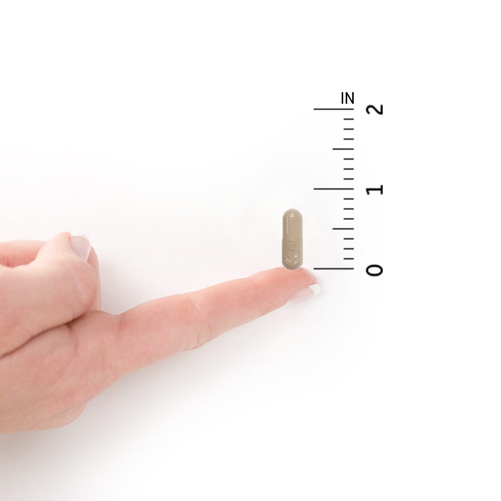 Garden of Life Multivitamin for Women, Vitamin Code Women's Multi - Whole Food Womens Multi Vitamins, Iron, Folate not Folic Acid, Vitamin A and Probiotics for Womens Energy, 120 Vegetarian Capsules