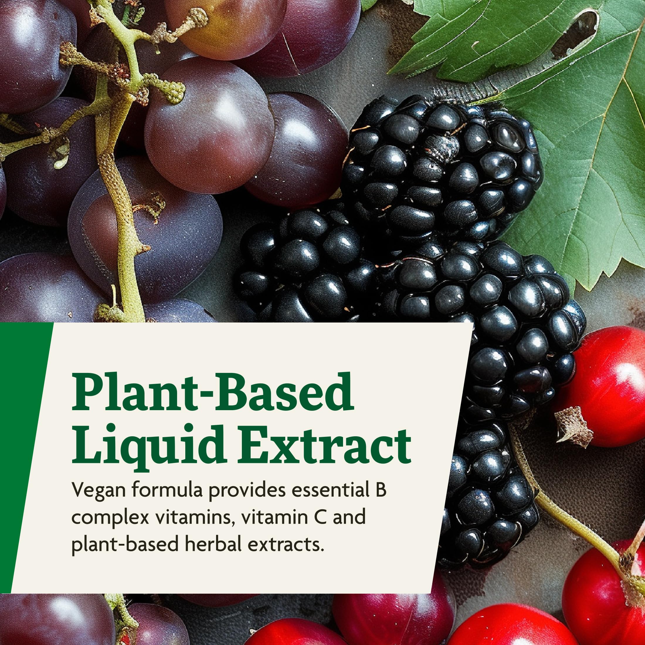 Floradix Floravital Liquid Iron & Vitamin Formula - Liquid Iron Supplement with C & B Vitamins & Herbs for Energy Support - Vegan, Gluten-Free, Yeast-Free & Non- GMO-16.9 Fl Oz