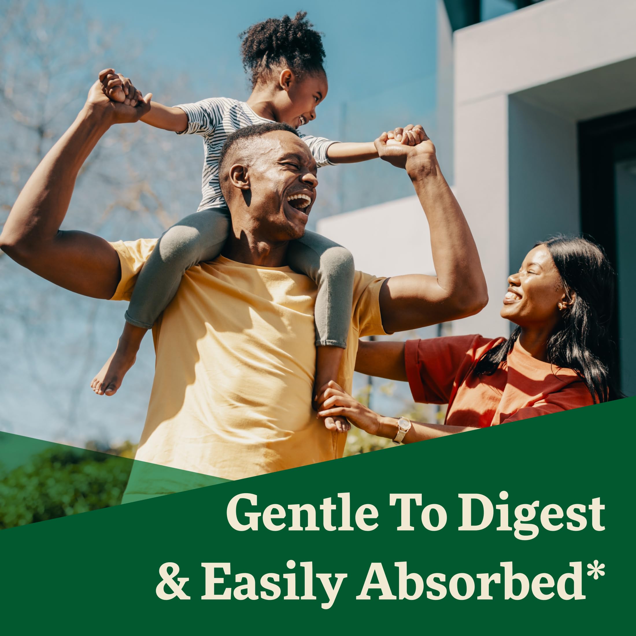 Floradix Floravital Liquid Iron & Vitamin Formula - Liquid Iron Supplement with C & B Vitamins & Herbs for Energy Support - Vegan, Gluten-Free, Yeast-Free & Non- GMO-16.9 Fl Oz