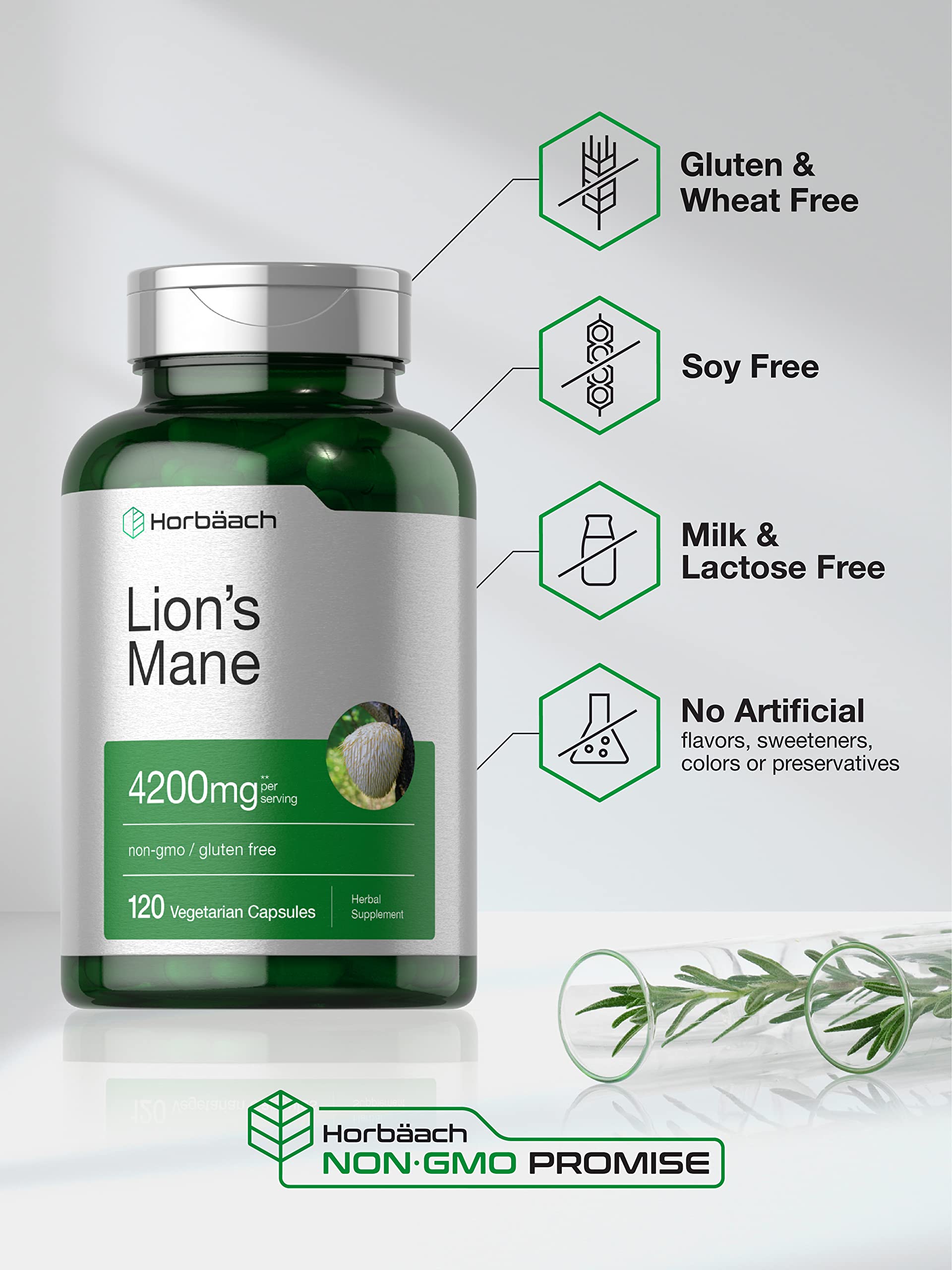 Horbäach Lions Mane Mushroom Extract | 120 Capsules | Vegetarian, Non-GMO, Gluten Free Supplement