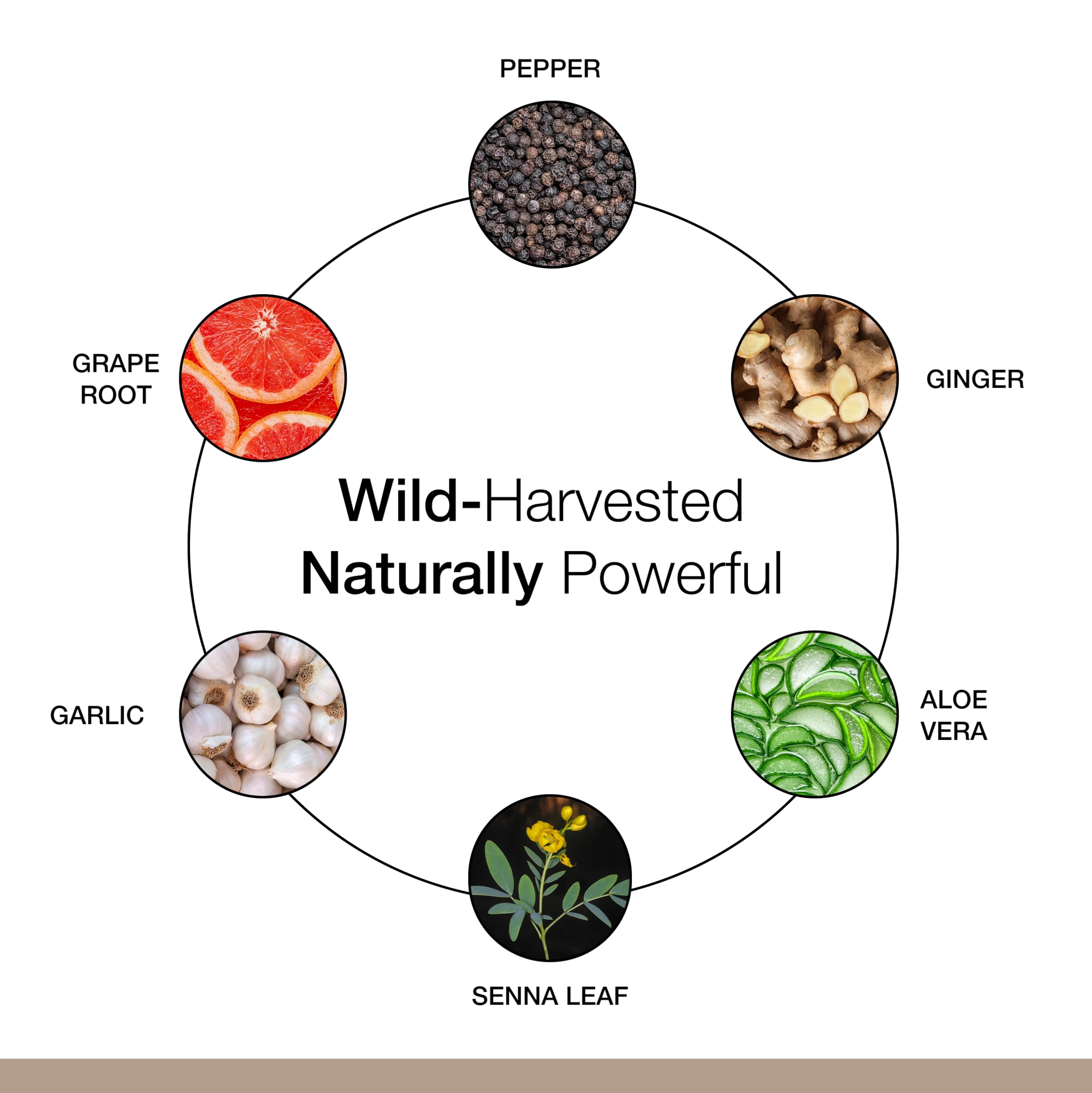 Dr. Schulze's Intestinal Formula #1 - Bowel Movement Supplement for Colon Health Support - Bloating & Constipation Aid - Intestinal Cleanse - All-Natural - Plant-Based - Vegan - 90 Count